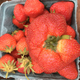 Illustration for article titled Look At This Fucked Up Strawberry I Bought